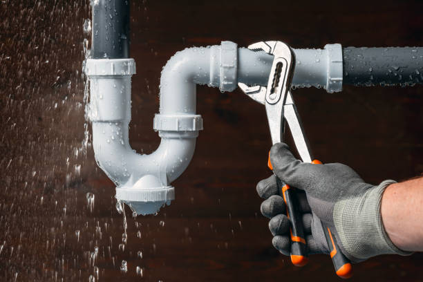 Professional Plumbing technician working in Stockbridge, MI